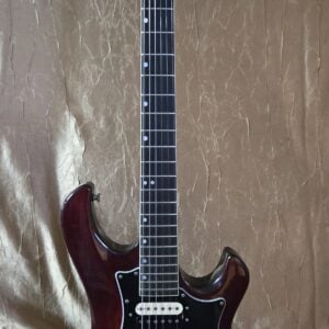 Gibson Victory MVX 1981
